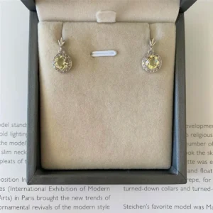 BRINCO PONTO DE LUZ 5MM CRAVEJADO PENDURADO BN SOL DE VERANO